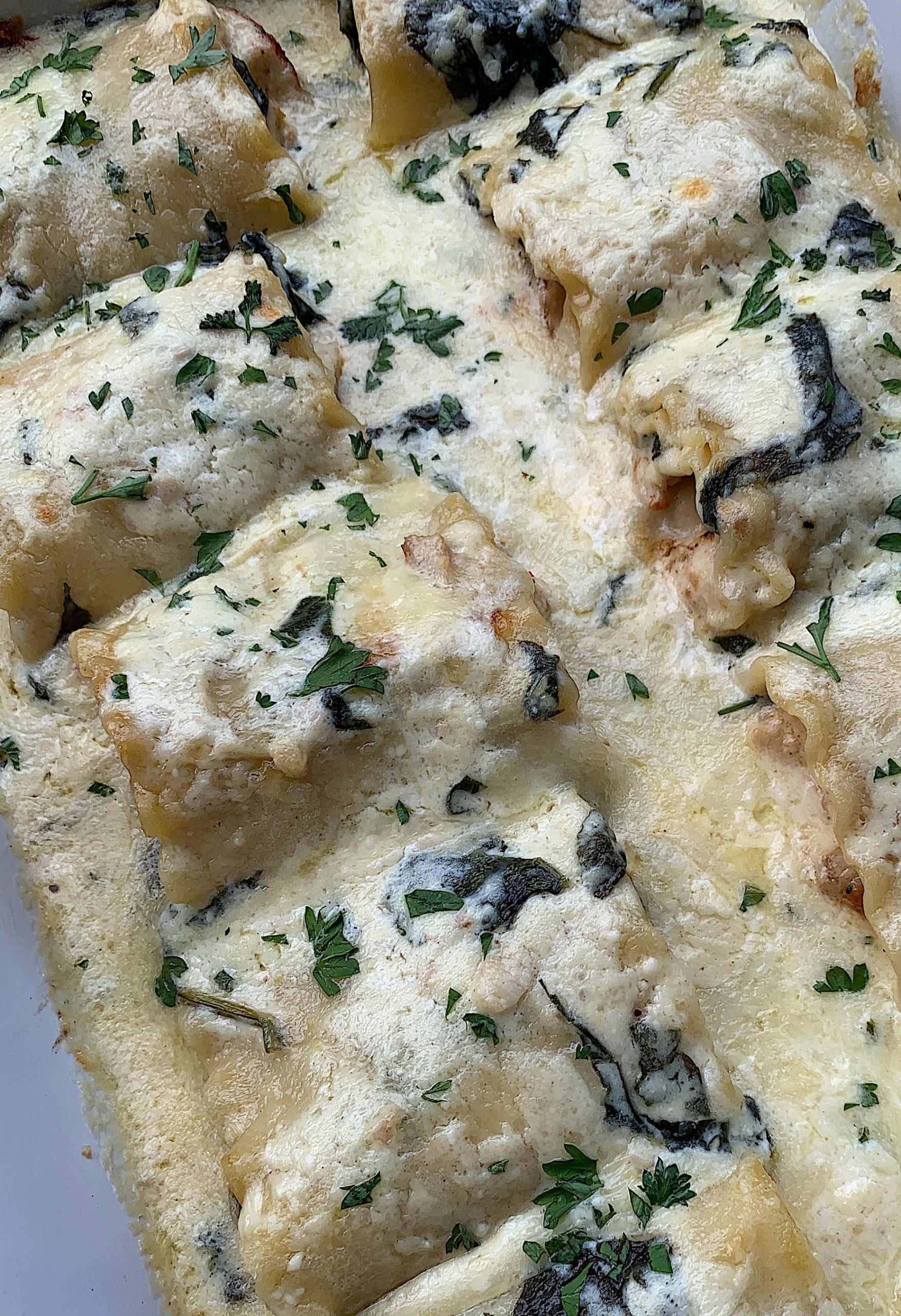 Chicken Alfredo Lasagna Rolls Yel's Kitchen