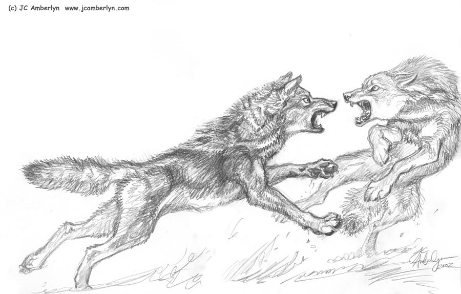 J.C. Amberlyn (DesertCoyote) Yerf Historical Archive