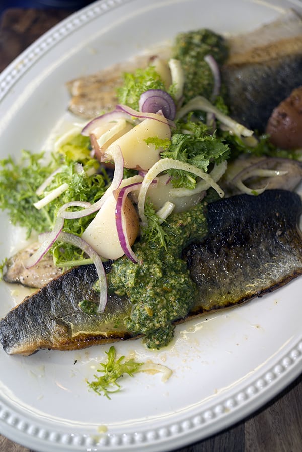 Seared Rainbow Trout + Citrusfennelpotato salad + cilantro pesto