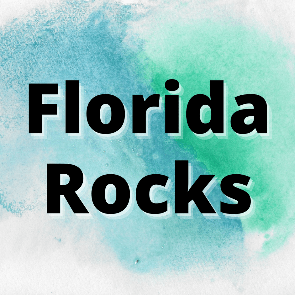 Types of Rocks Found In Florida A Guide To the 5 Most Common You'll