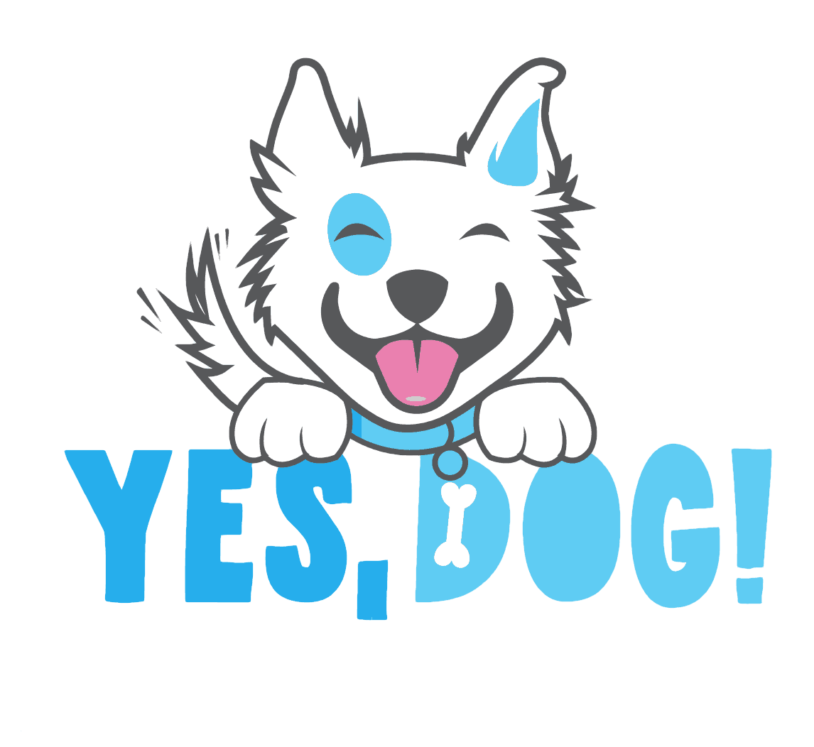 Airdrie's Best Dog Training for Puppies and Dogs Of All Ages