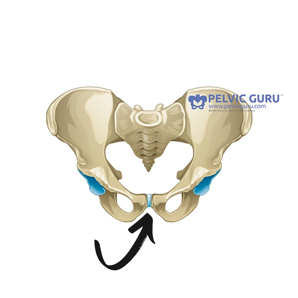 Symphysis Pubis Dysfunction During Pregnancy Yes Mama Co.