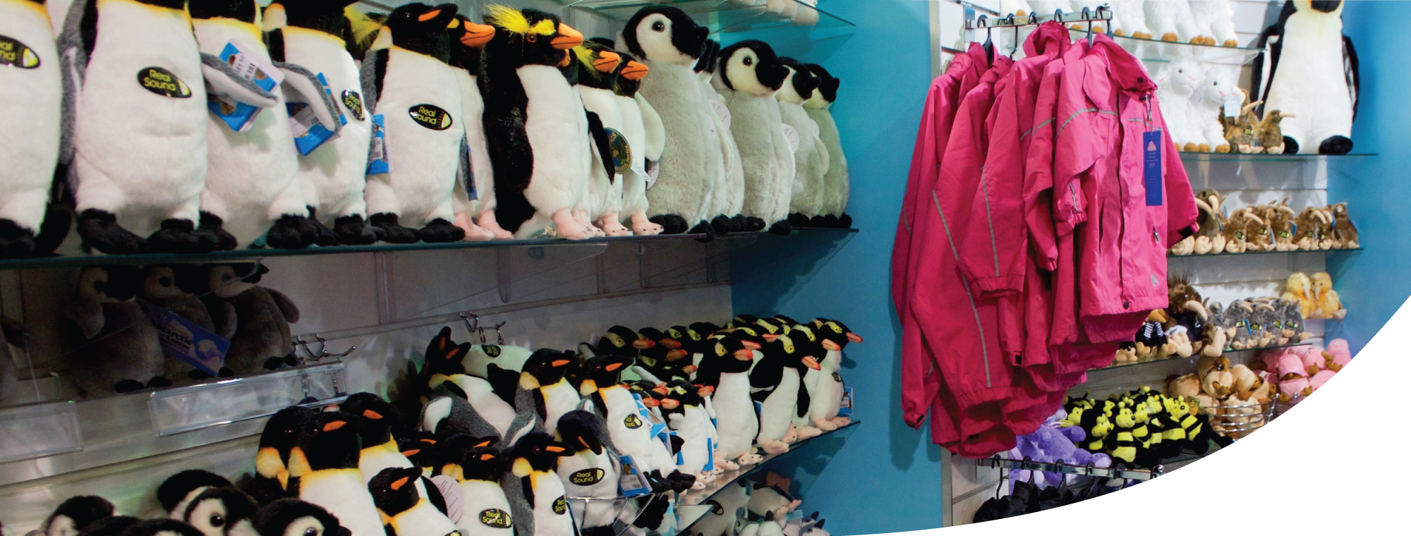 Greensboro Science Center Merchandizing Yes Olio