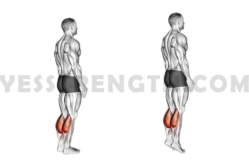 5 Best Leg Exercises at Home for Beginners Sample Routine Yes Strength