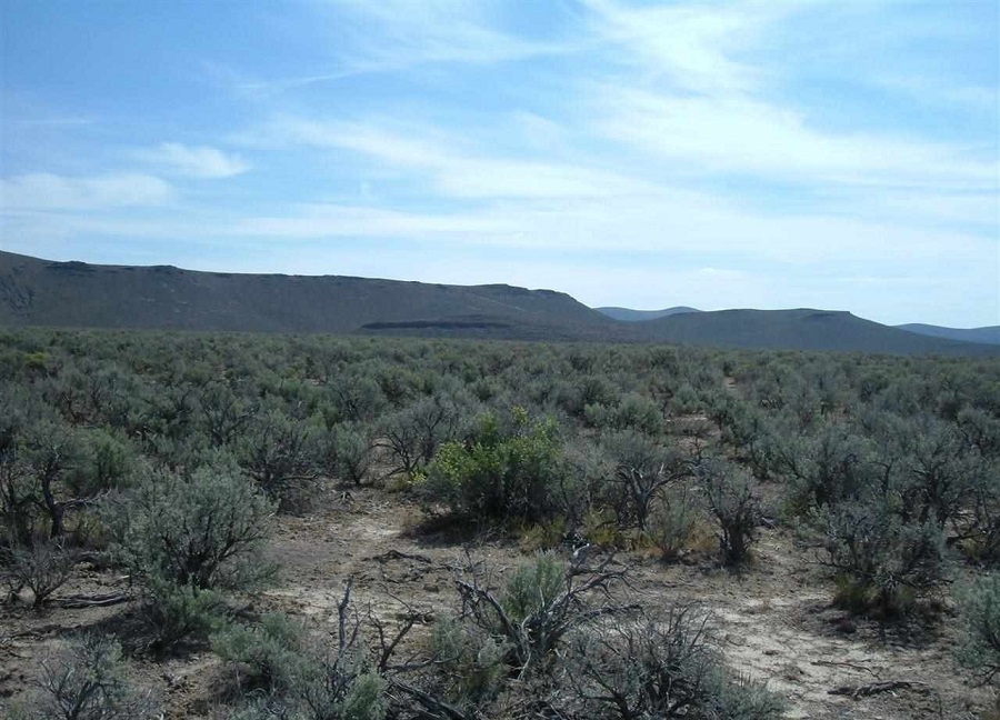 20 Acres Paradise Valley