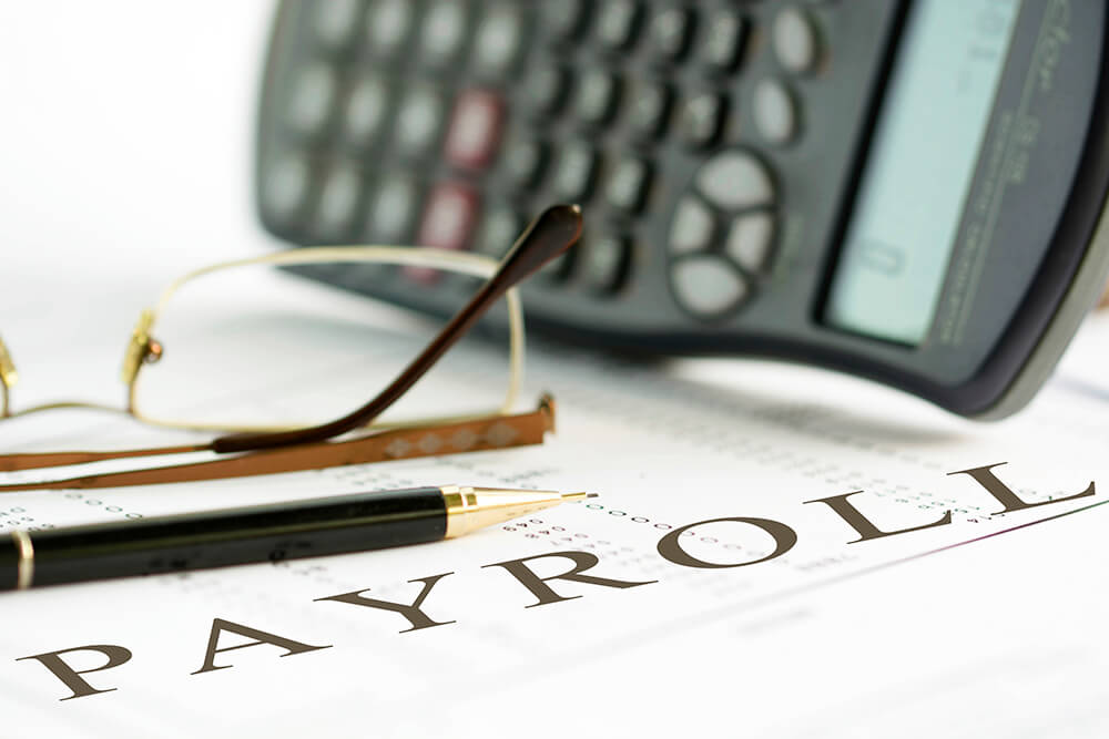 How Payroll Professionals Can Help Your Business Site Title
