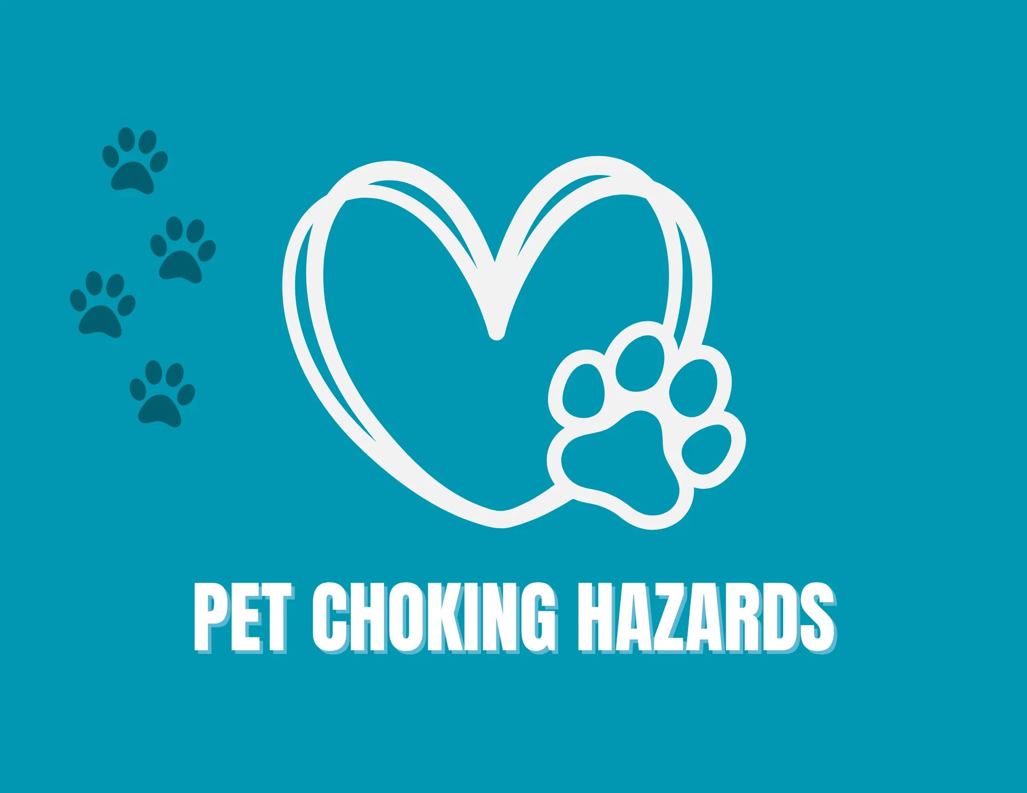 Safeguarding Your Dog Understanding Choking Hazards and Prevention