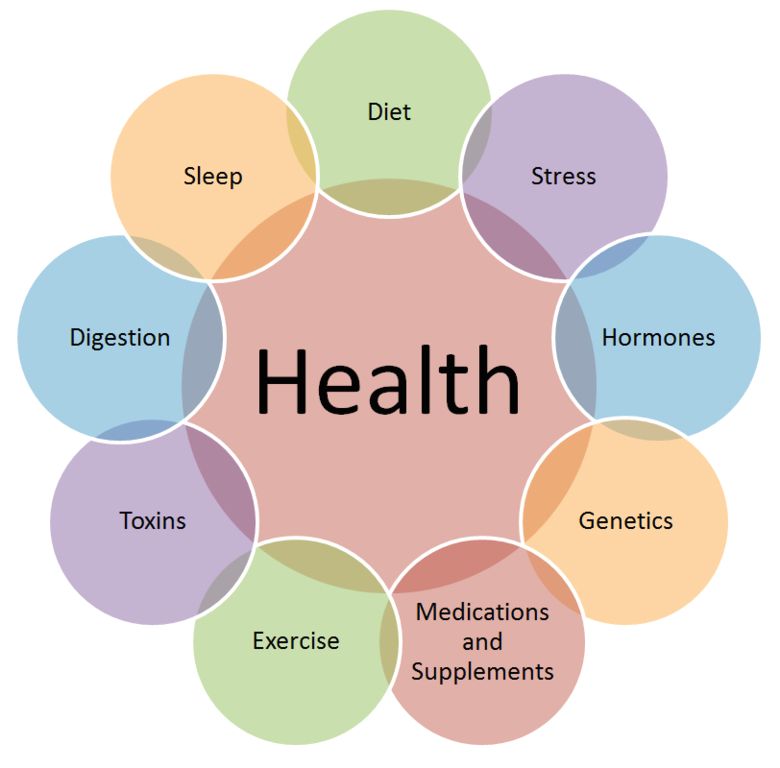 7 steps to holistic health Ygraph