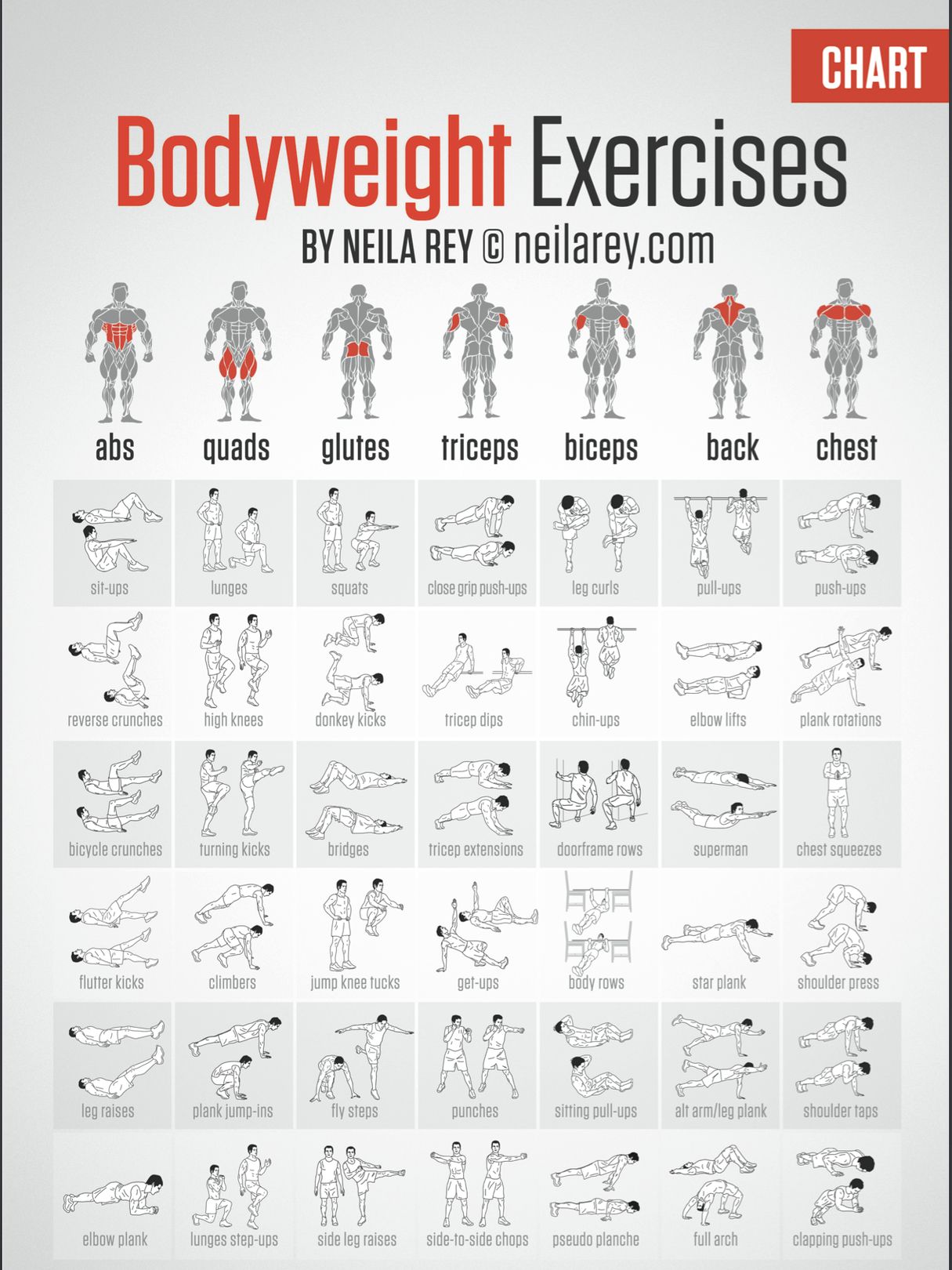 Free bodyweight exercise chart Ygraph