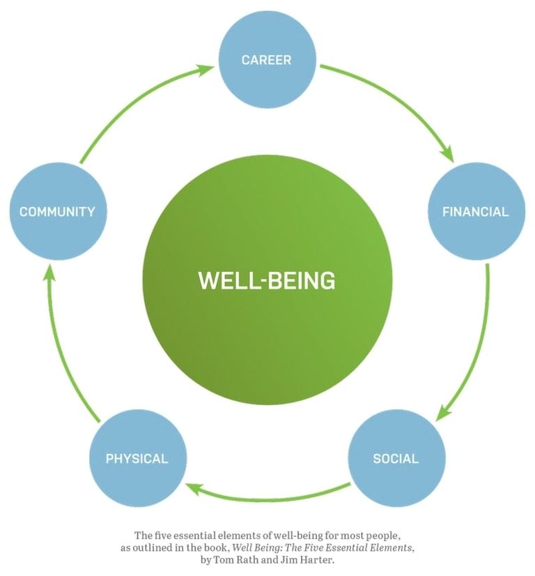 Well being parts Ygraph