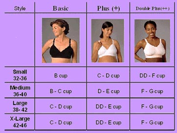 Bra Sizes Chart. Bra Sizes: Small, Medium, Large, X-large - Ygraph