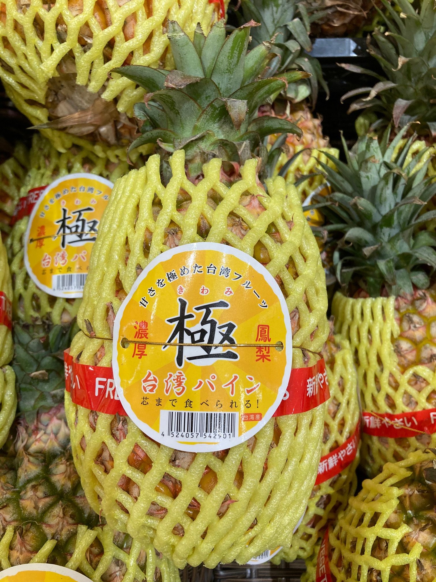 pineapple Blog Japanese Language Study in Japan Yokohama