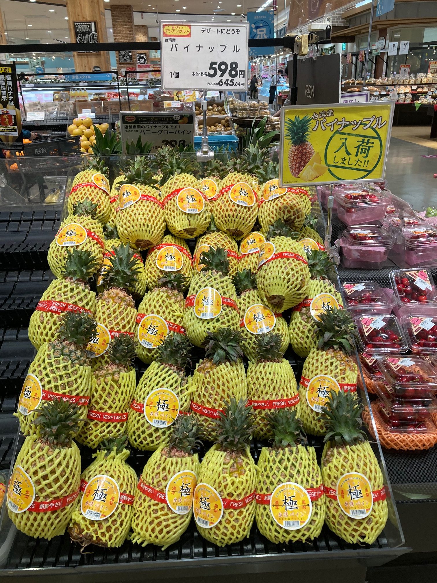 pineapple Blog Japanese Language Study in Japan Yokohama