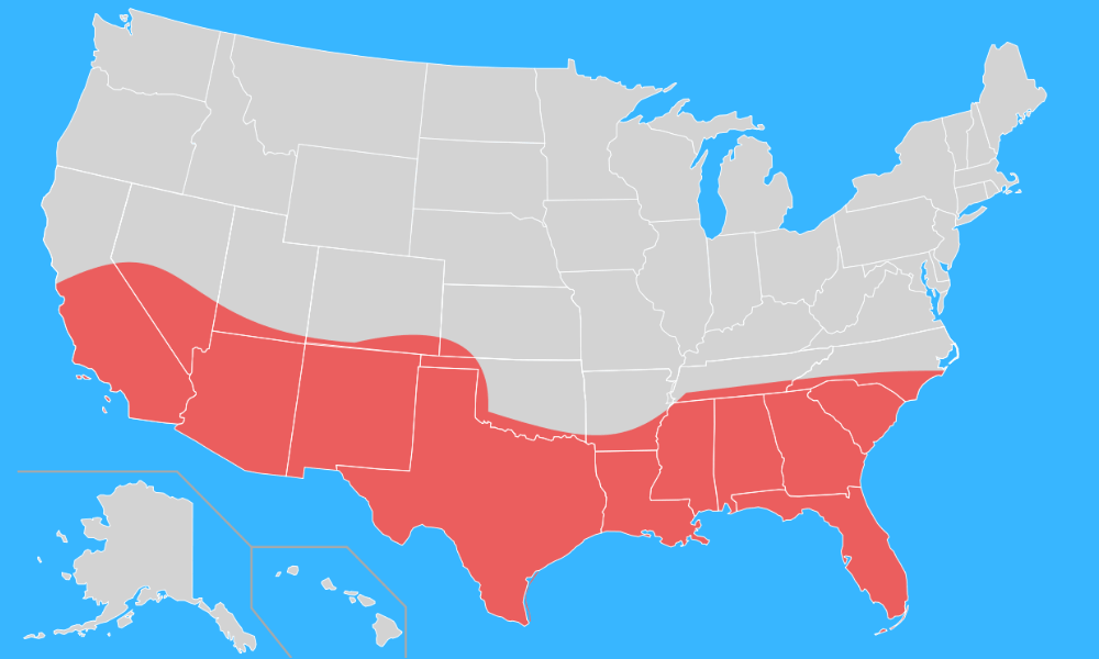 Why We Invest in The"Smile States" (Sunbelt States)