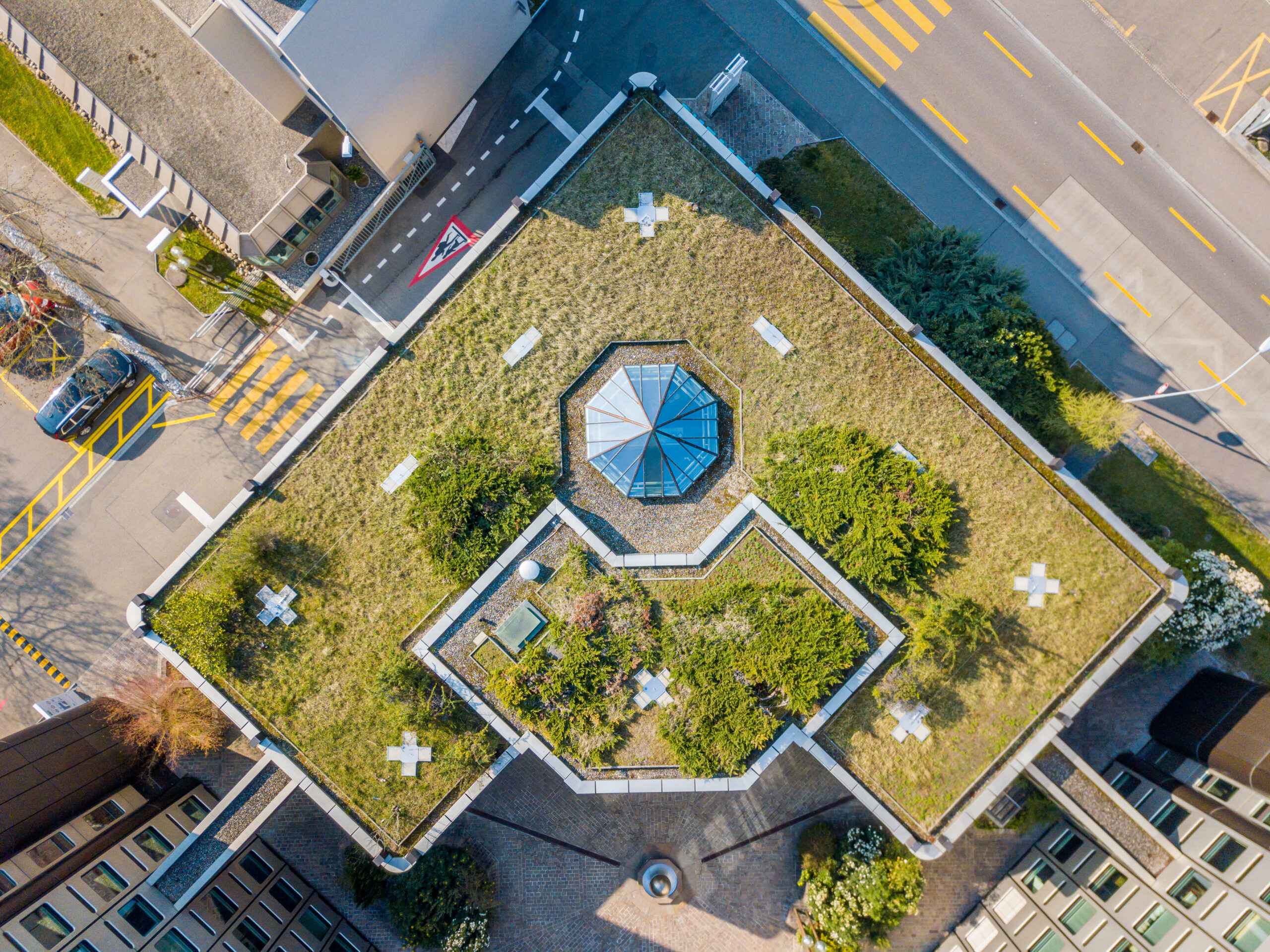 Aerial view of rooftop garden in urban residential area YIMBYQLD