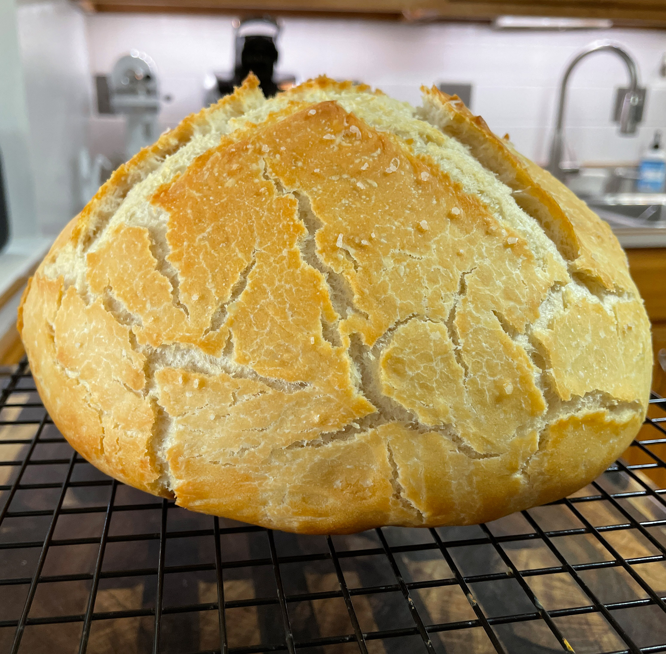 Dutch Oven Bread Yinz Guys Cookin?