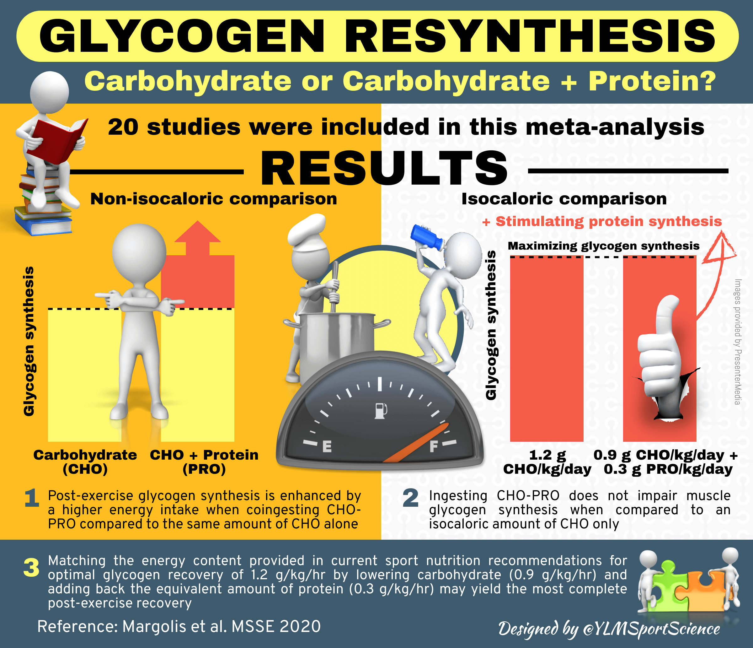 Glycogen resynthesis Carbohydrate or Carbohydrate + Protein