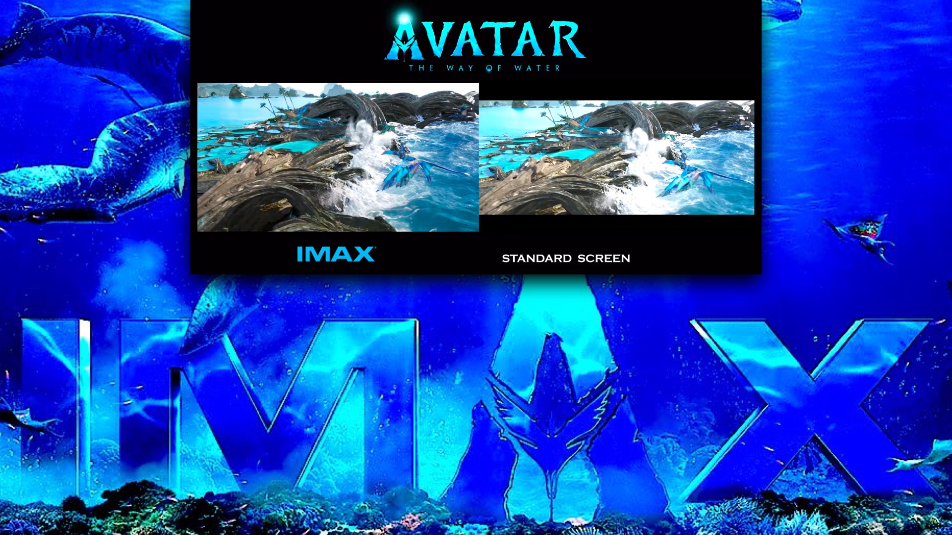 IMAX vs. Standard Screening A MustWatch Comparison Y.M.Cinema Magazine