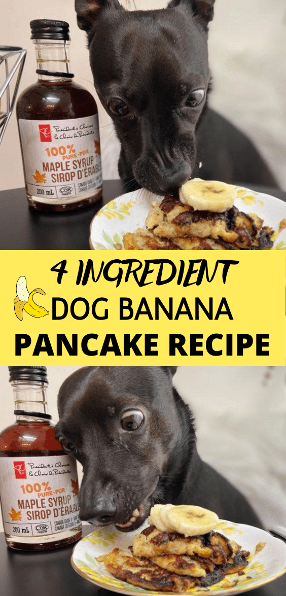 Puppy Pancakes Egg Banana Pancake Dog Recipe in 4 Ingredients YoCanine