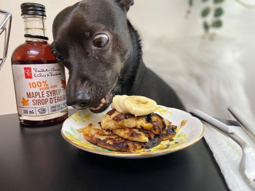 Puppy Pancakes Egg Banana Pancake Dog Recipe in 4 Ingredients YoCanine