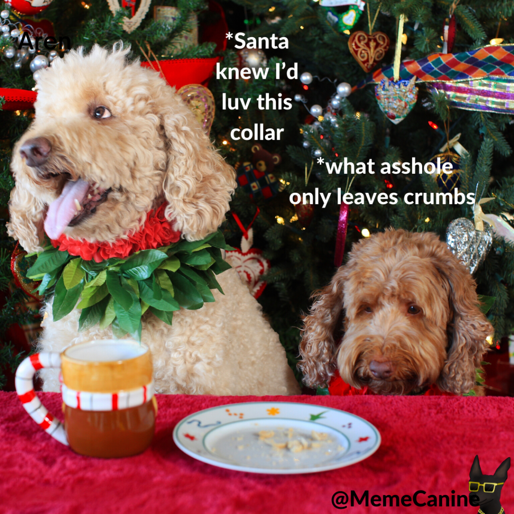 12 Christmas Dog Memes Dog Mom Humor YoCanine