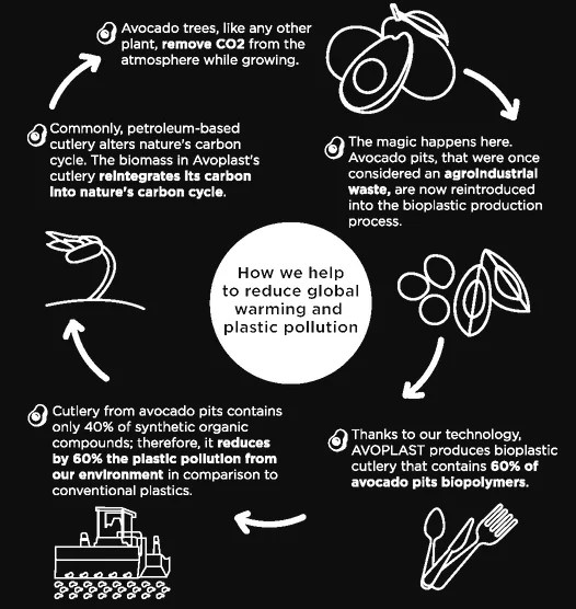 Biodegradable Cutlery Out Of Avocado Seeds WOW Waste!