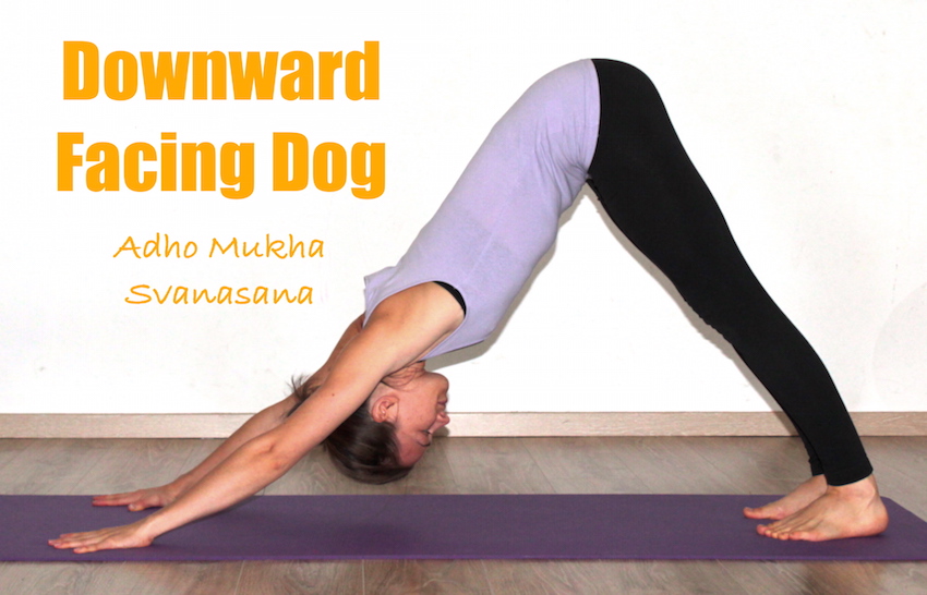 how to do downward facing dog Yoga pose step by step