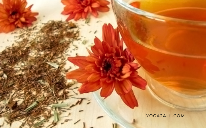 Top 15 Amazing Drinking Benefits of Rooibos Tea