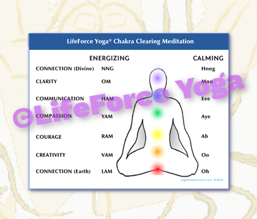LifeForce Yoga Chakra Clearing Yoga for Depression