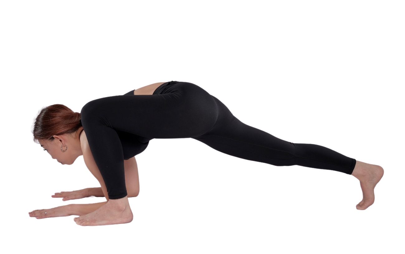 Lizard Pose (Utthan Pristhasana)
