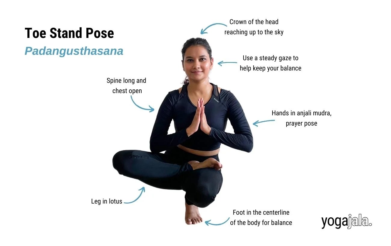 Top more than 180 standing pose quotes best nanoginkgobiloba.vn