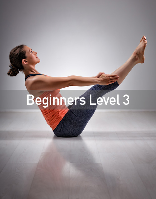 Beginners Level 3 Yoga Course Yogamoo™