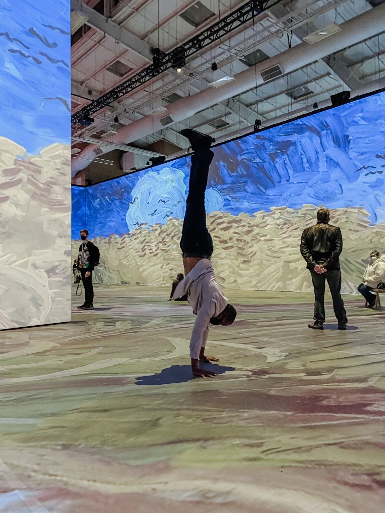 Beyond Van Gogh Yoga One Experience Yoga One Blog