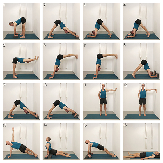 Yoga for Wrists Mobilise and Strengthen Your Wrists with Ease Yoga