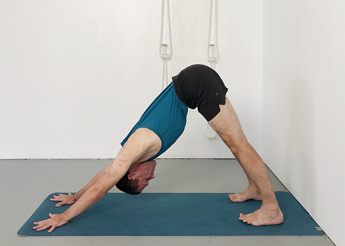 Downward Facing Dog Pose (Adho Mukha Svanasana) Yoga Selection