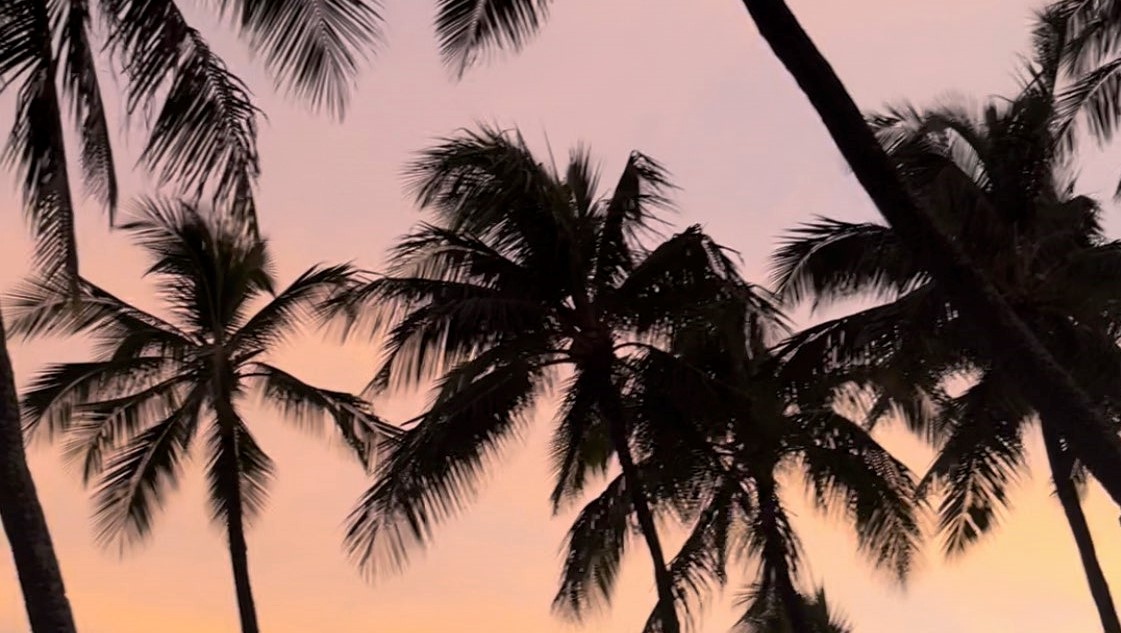 palms PureJoy Yoga, Yuba City