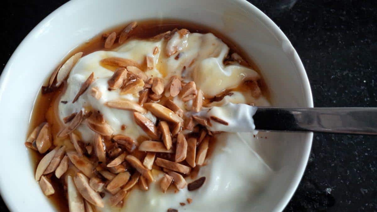 How Good Bacteria in Yogurt Works Its Magic Yogurt Nerd