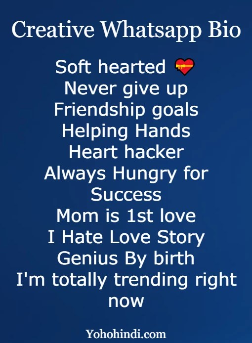 BEST 500+ Whatsapp Bio For Boys & Girls (New 2023) »
