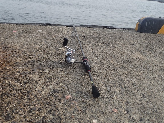 三浦 三崎港でイカ釣り… ヴォクシーがゆく