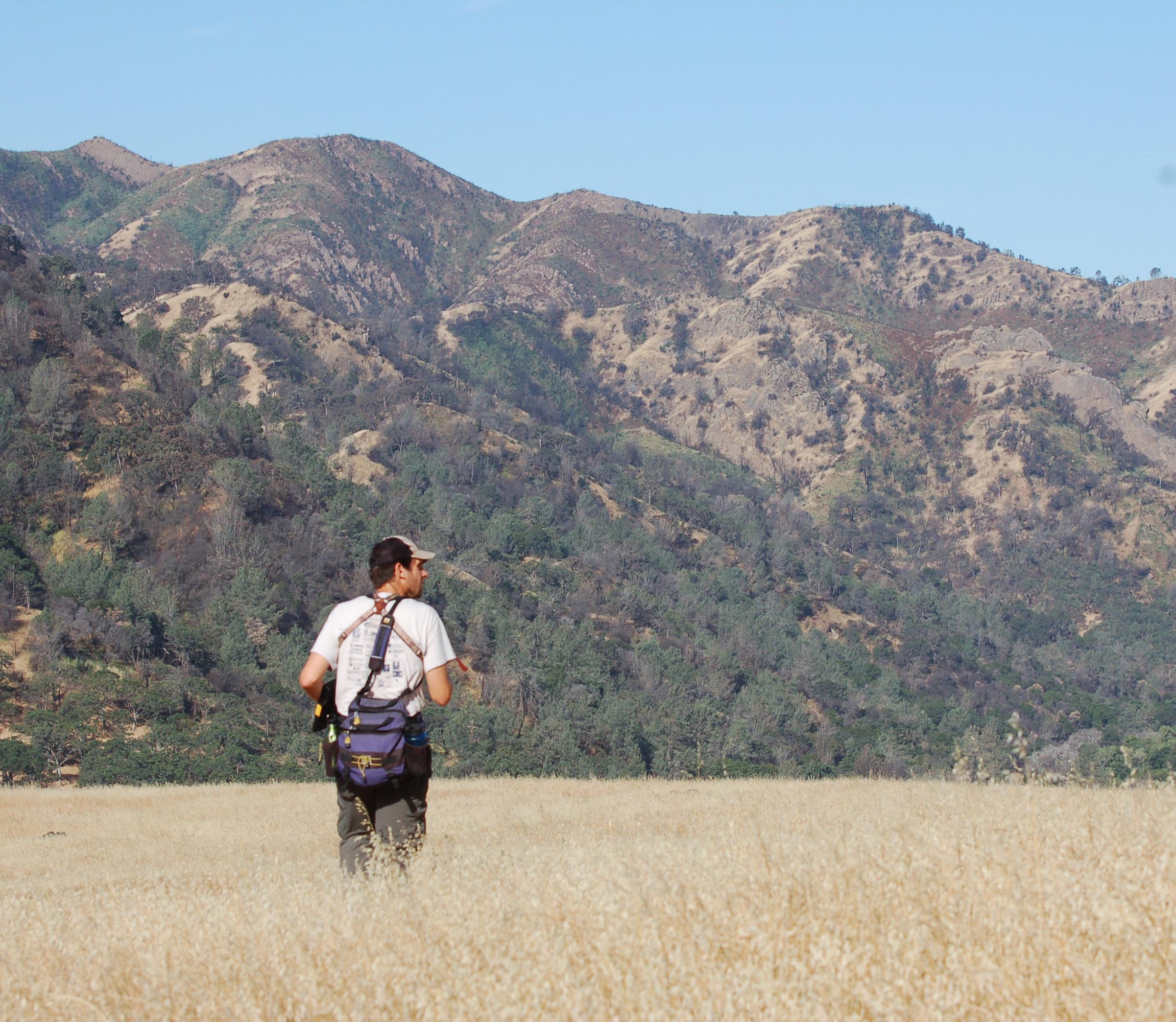 The Natural Resource Conservation Service in Yolo County Yolo Audubon