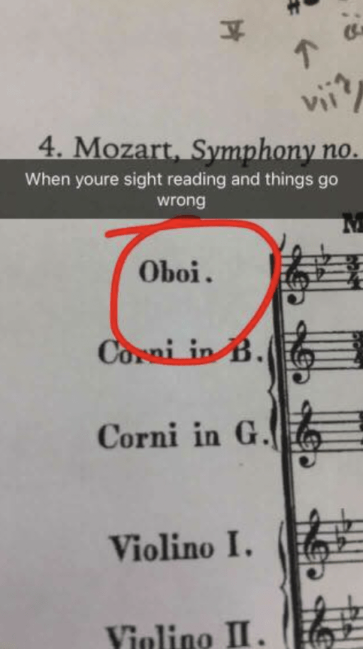 20 Hilarious Classical Music And Orchestra Memes Yona Marie Yona