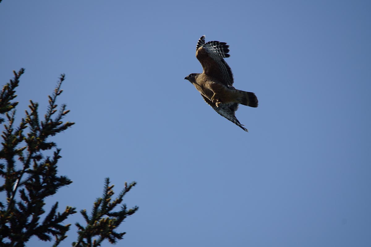 Yoncalla City Oregon Yoncalla Oregon