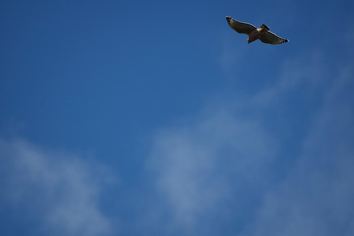 Yoncalla City Oregon Yoncalla Oregon