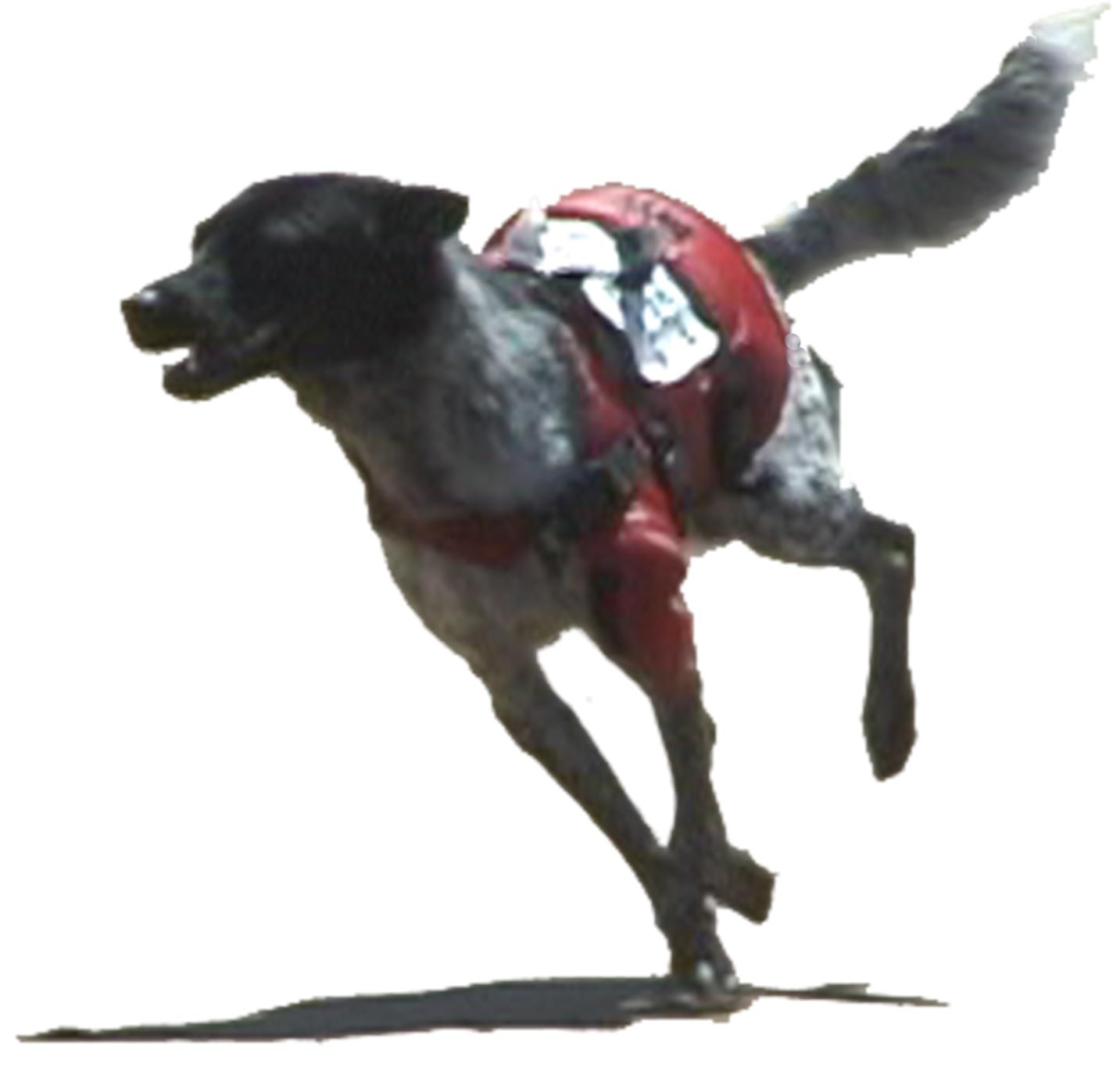 Yoncalla City Oregon Yoncalla Oregon