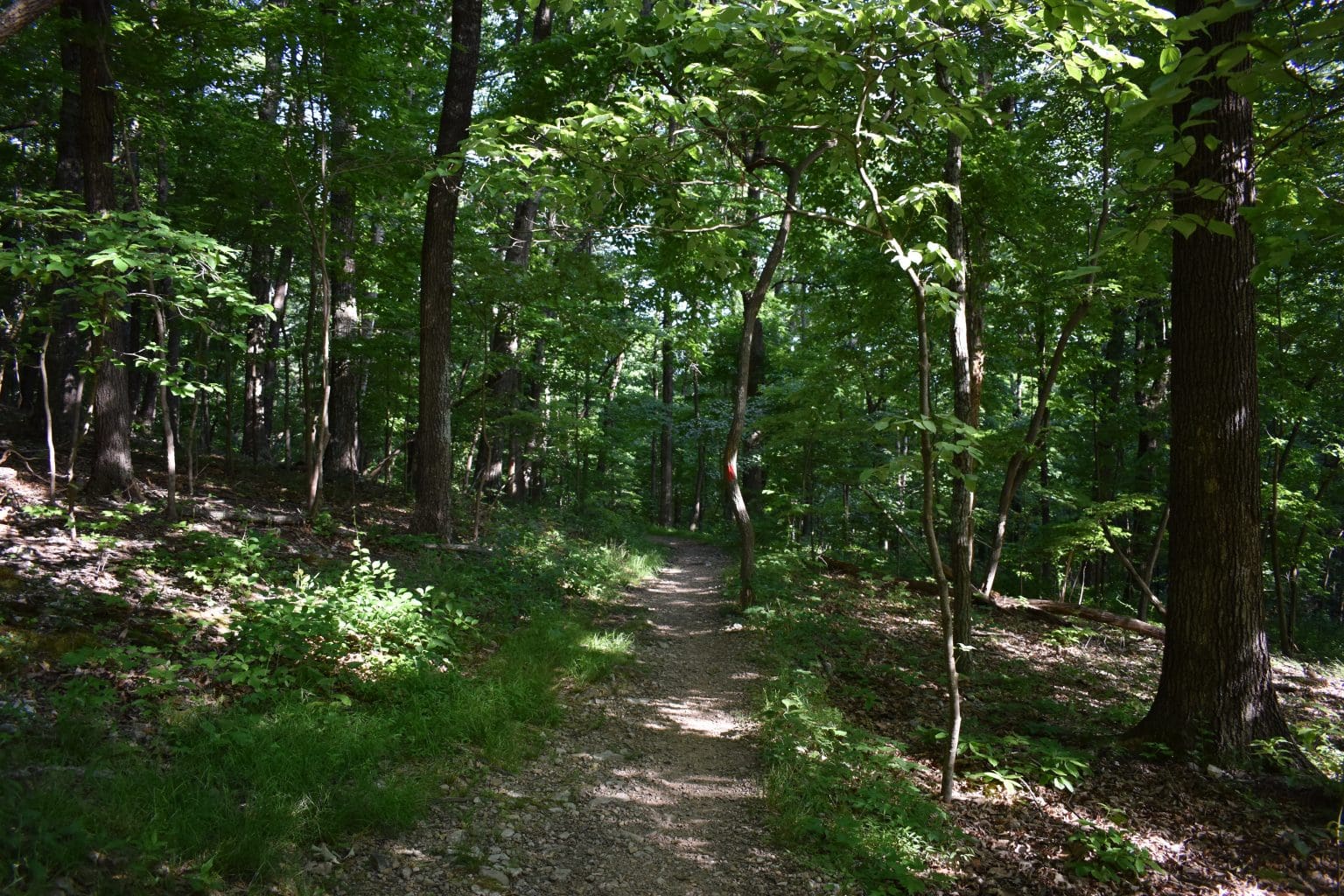 Best Hikes Near Roanoke Va [2024 Update] The Ultimate List Yo Noke