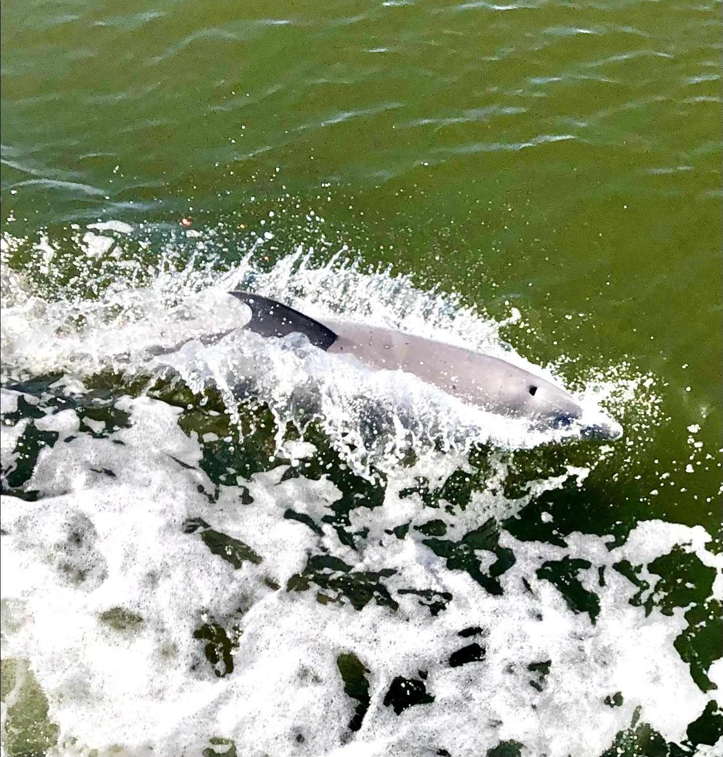 Mar 11 to Mar 24 Season 2 Weeks 9 & 10 Rivers Edge Marina and St