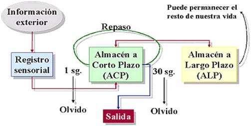 Un enfoque educativo de la teoría de la atención Instituto de