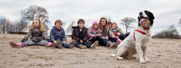 Our Veterinarians in Bellevue, Ohio are accepting new patients York