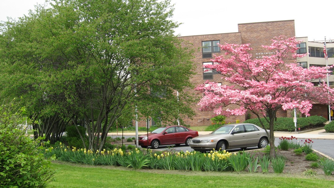 Springfield The Housing Authority of the City of York, PA (YHA)