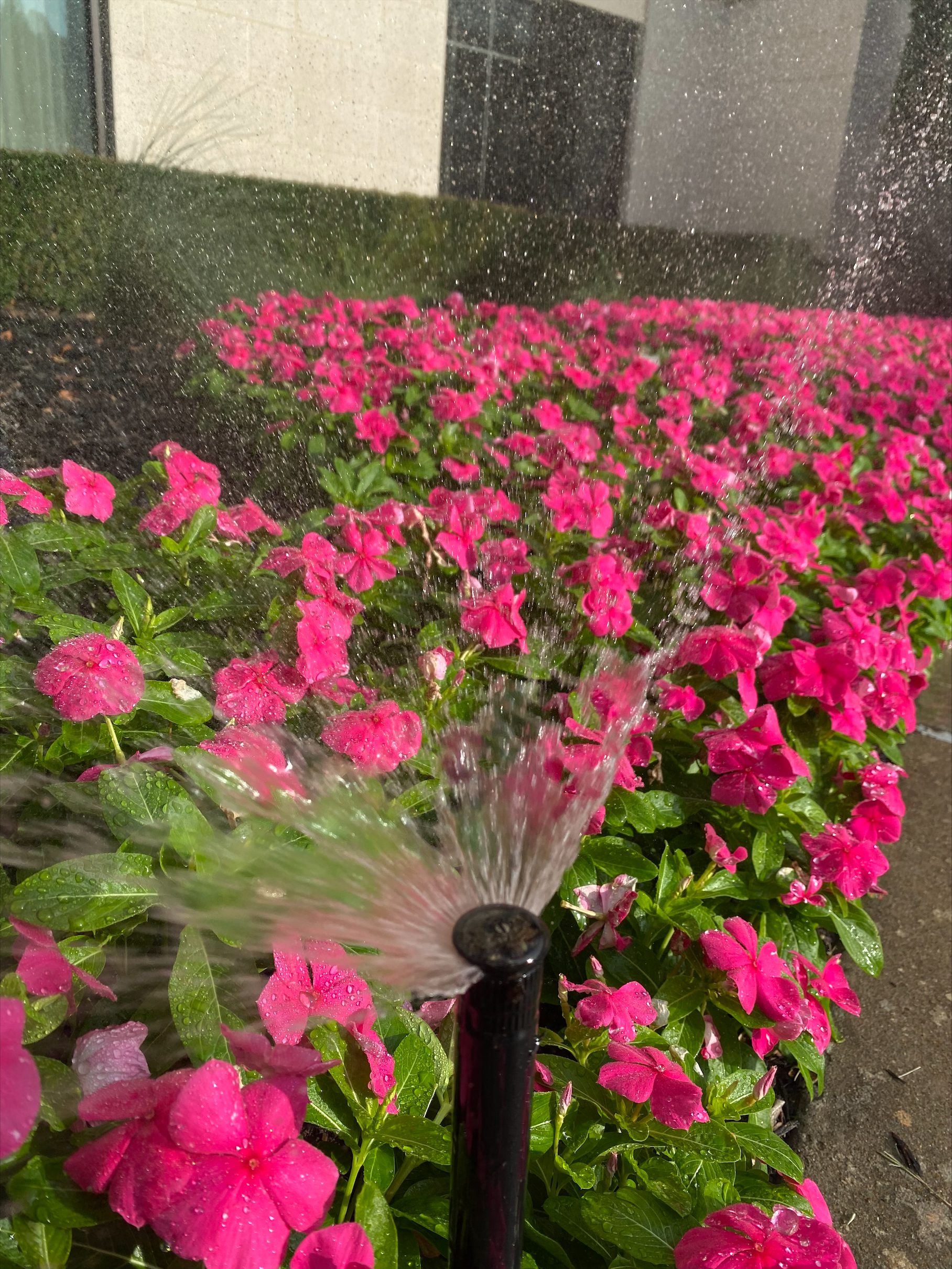 Industry Leader Fort Worth, TX Commercial Irrigation Contractors